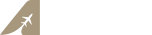 RUSHJETS